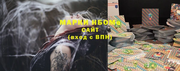 гашик Алзамай
