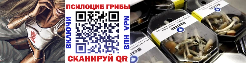 Псилоцибиновые грибы Psilocybine cubensis  где продают наркотики  Гуково 