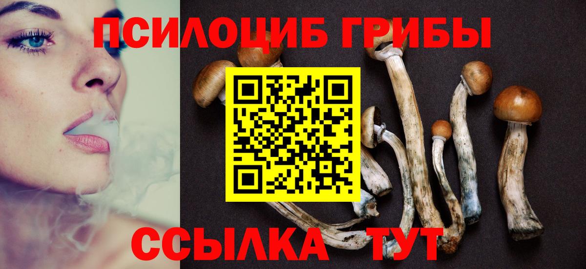 Гуково  Галлюциногенные грибы прущие грибы  Вход с VPN 
